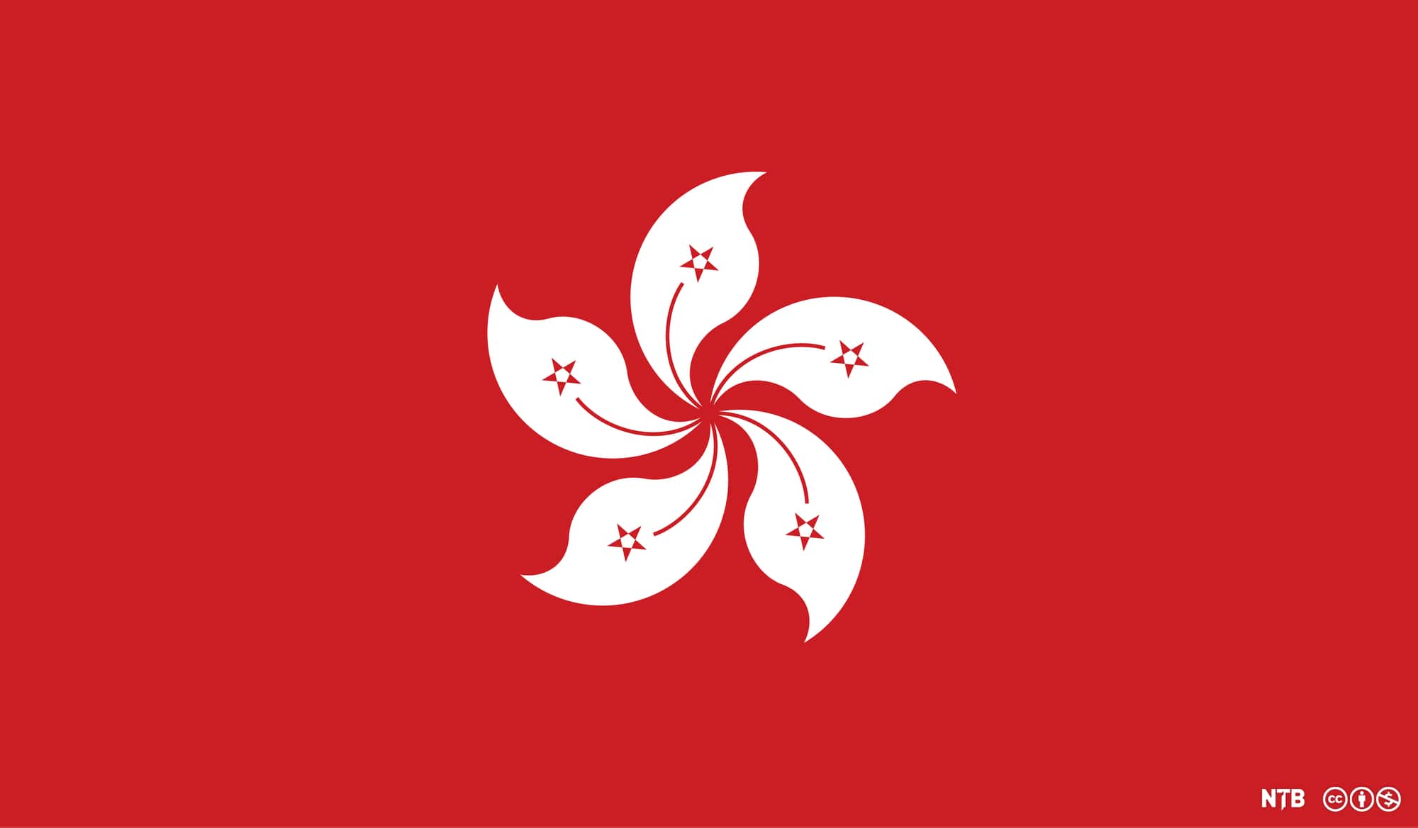 Transcription Services Hong Kong - Way With Words featured image