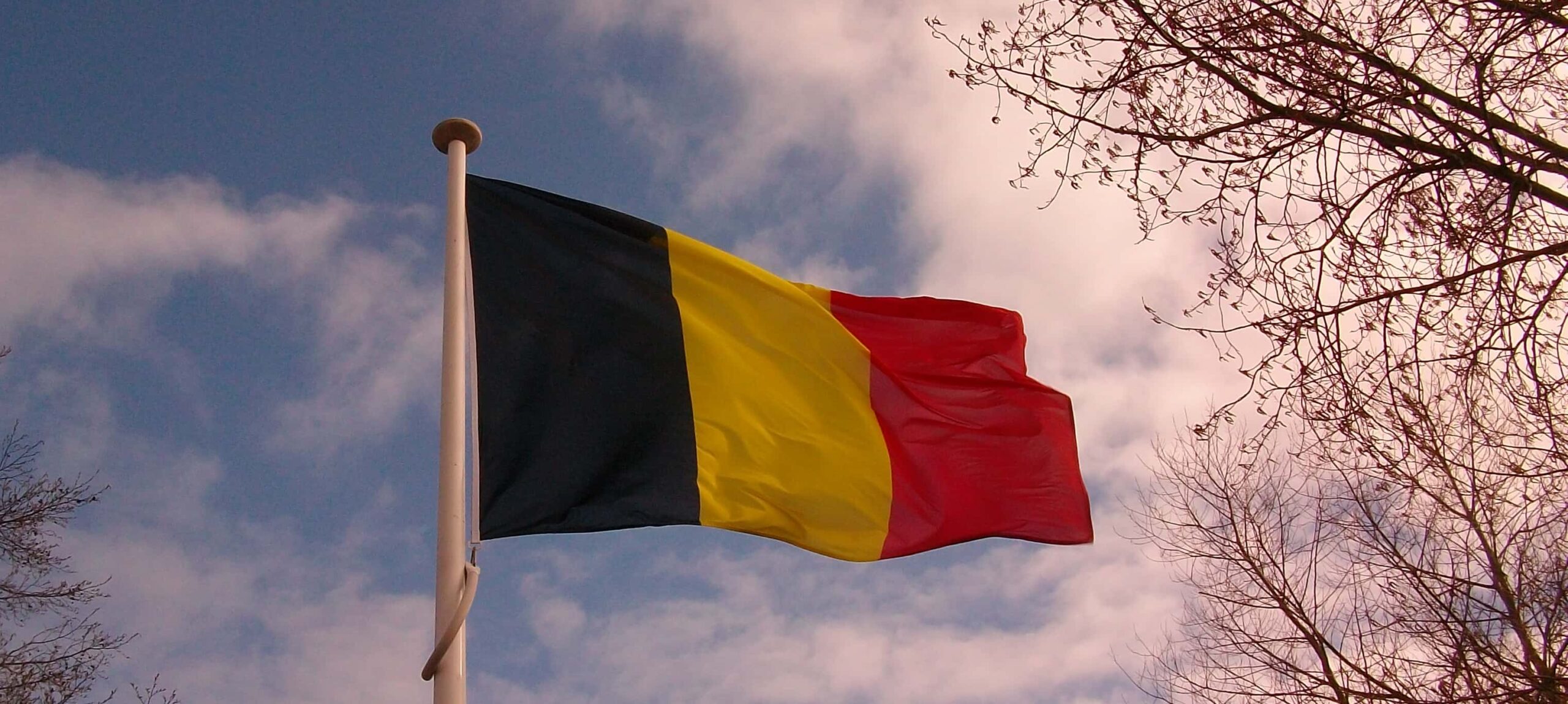 Transcription Services Brussels - Way With Words featured image