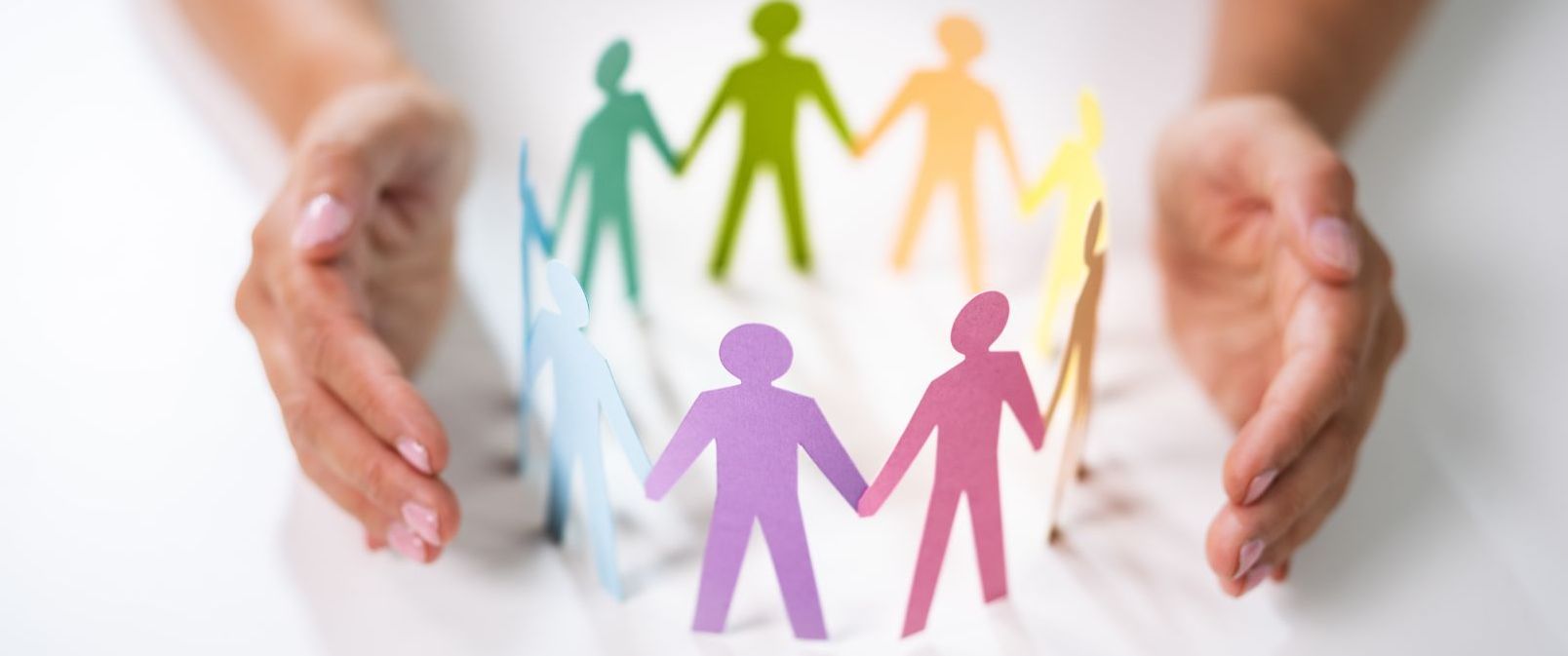 ai systems diversity