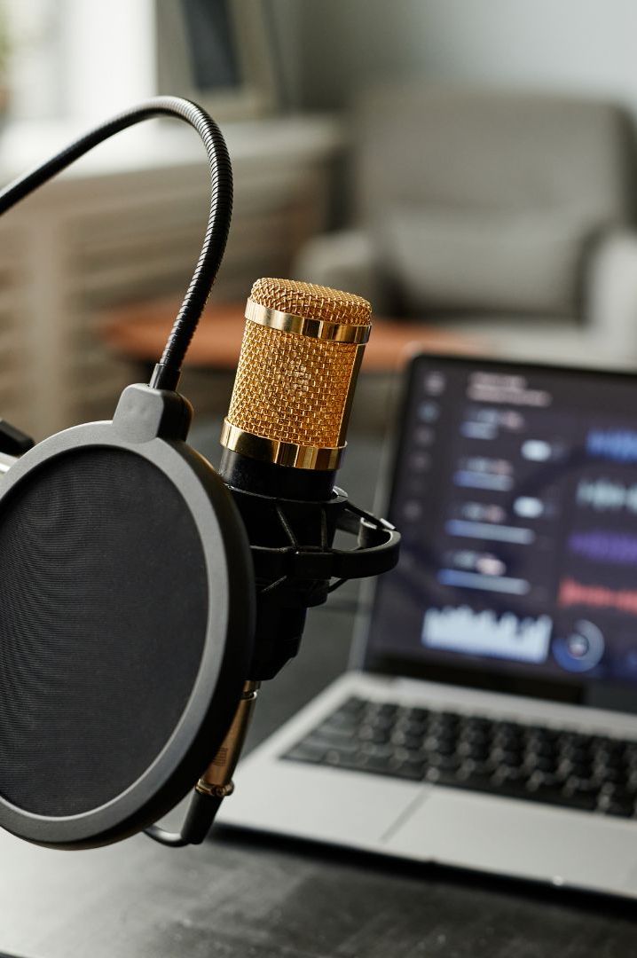 diverse speech data sound